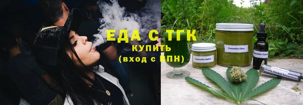 индика Волоколамск