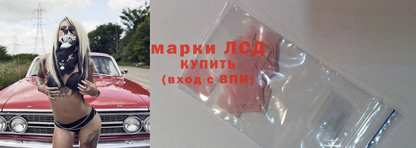 индика Волоколамск