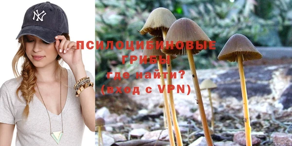 PSILOCYBIN Елабуга