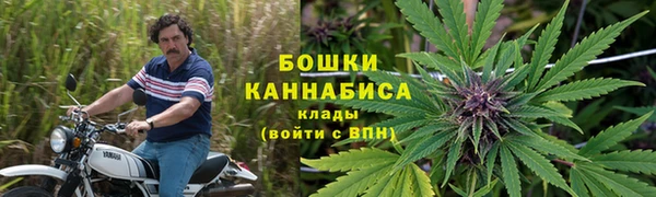 PSILOCYBIN Елабуга