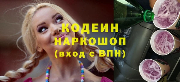 индика Волоколамск