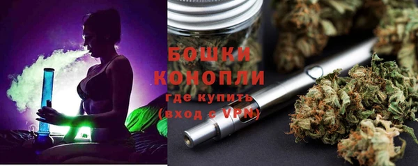 мдпв Волосово