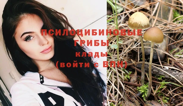 марки nbome Болхов
